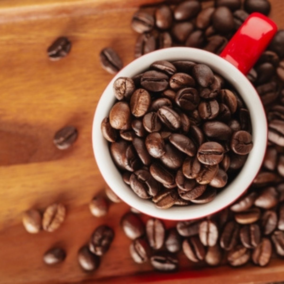 Cup full of Firewalker Coffee beans